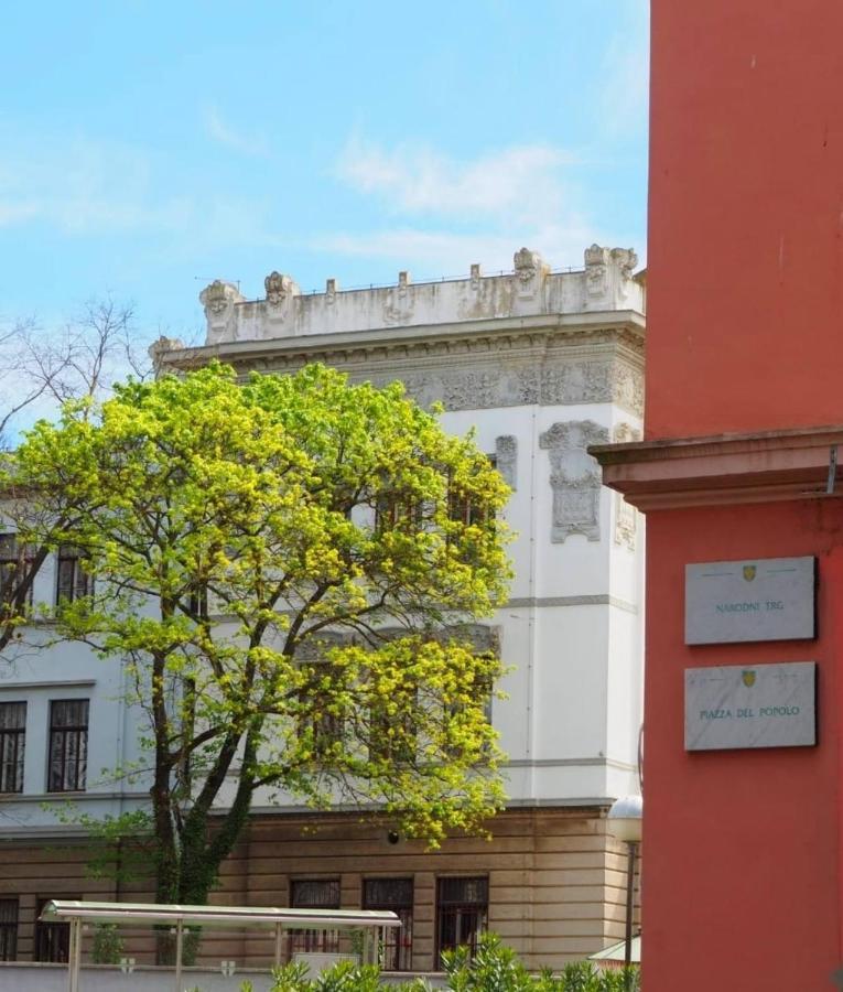 Greatstay - With Free Parking In Center Apartment